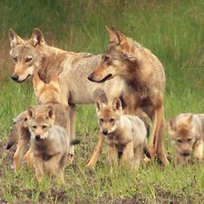 Sebastian Koerner / Foto: © Sebastian Koerner Sebastian Koerner