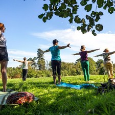QiGong im Herbst