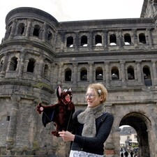 Das Zuhaus' der Fledermaus