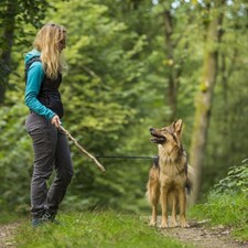 Krimitour mit Hund