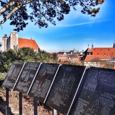 Vom Scherbelberg zum Schutterhof