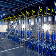 Hausf�hrung Das Wormser