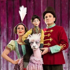 Juri und das AlpakaLamaDrama