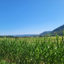 Wasser, Wald & Wein / Foto: © Nicole Baller, Tourist-Information Wittlich Stadt & Land Wasser, Wald & Wein