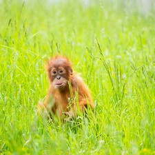 Zoo Amnéville / Foto: © fmp media GmbH