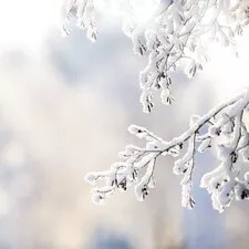 WinterPause - Bunte Abende / Foto: © Eerik Stock-Fotografie-ID:185325220